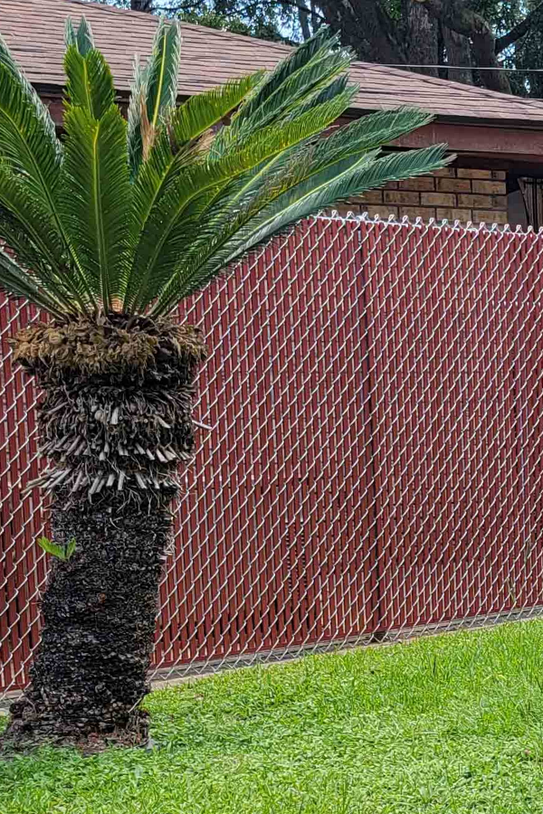 example of a Chain Link privacy fence in Slidell Louisiana